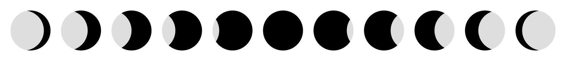 Detailed lunar phases chart with moon shapes in grayscale showing waxing waning gibbous crescent full new moon isolated on transparent background flat astronomy design illustration vector