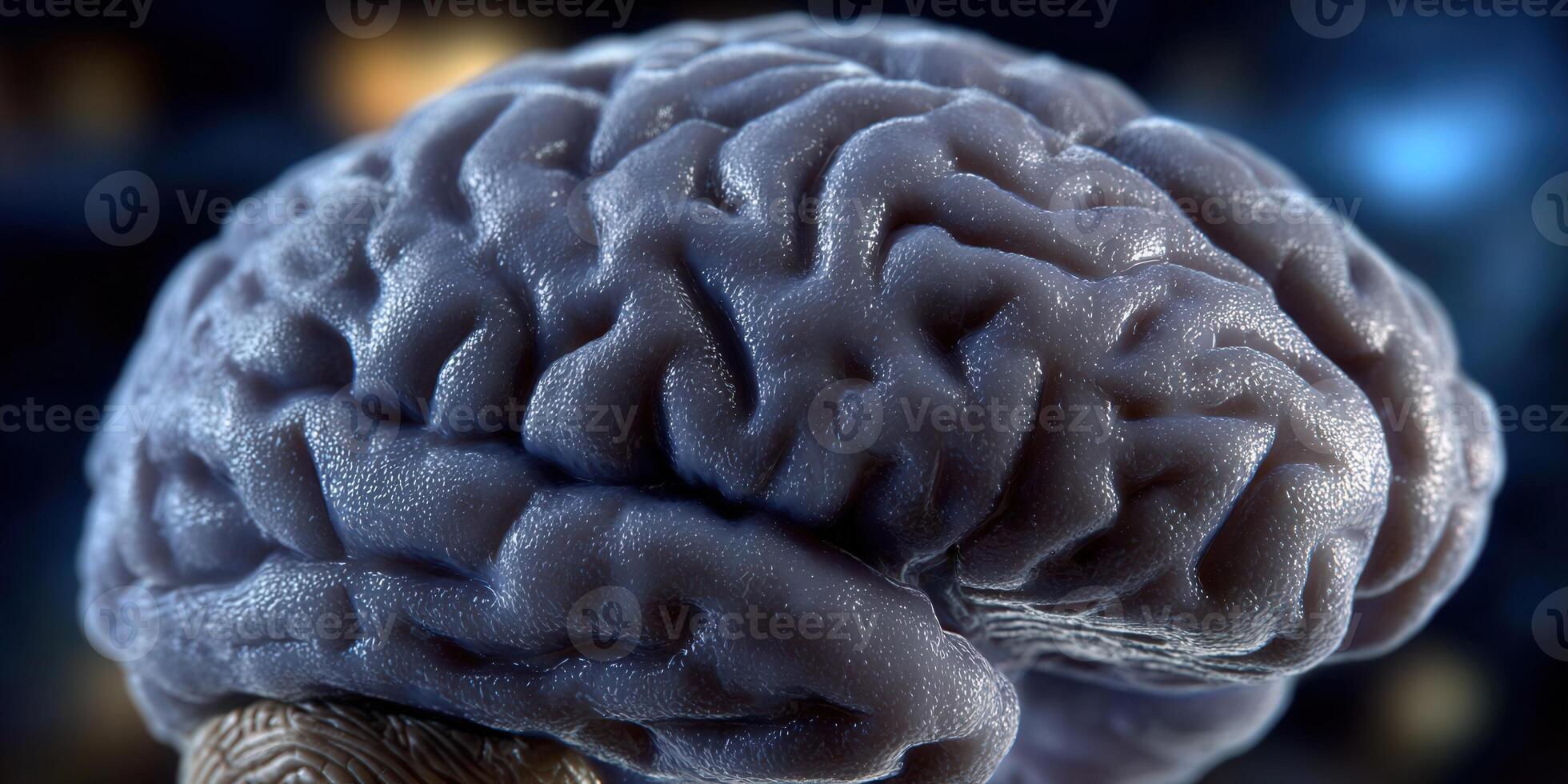 Intricate close-up of a human brain, highlighting the complexities of the mind and thought. photo