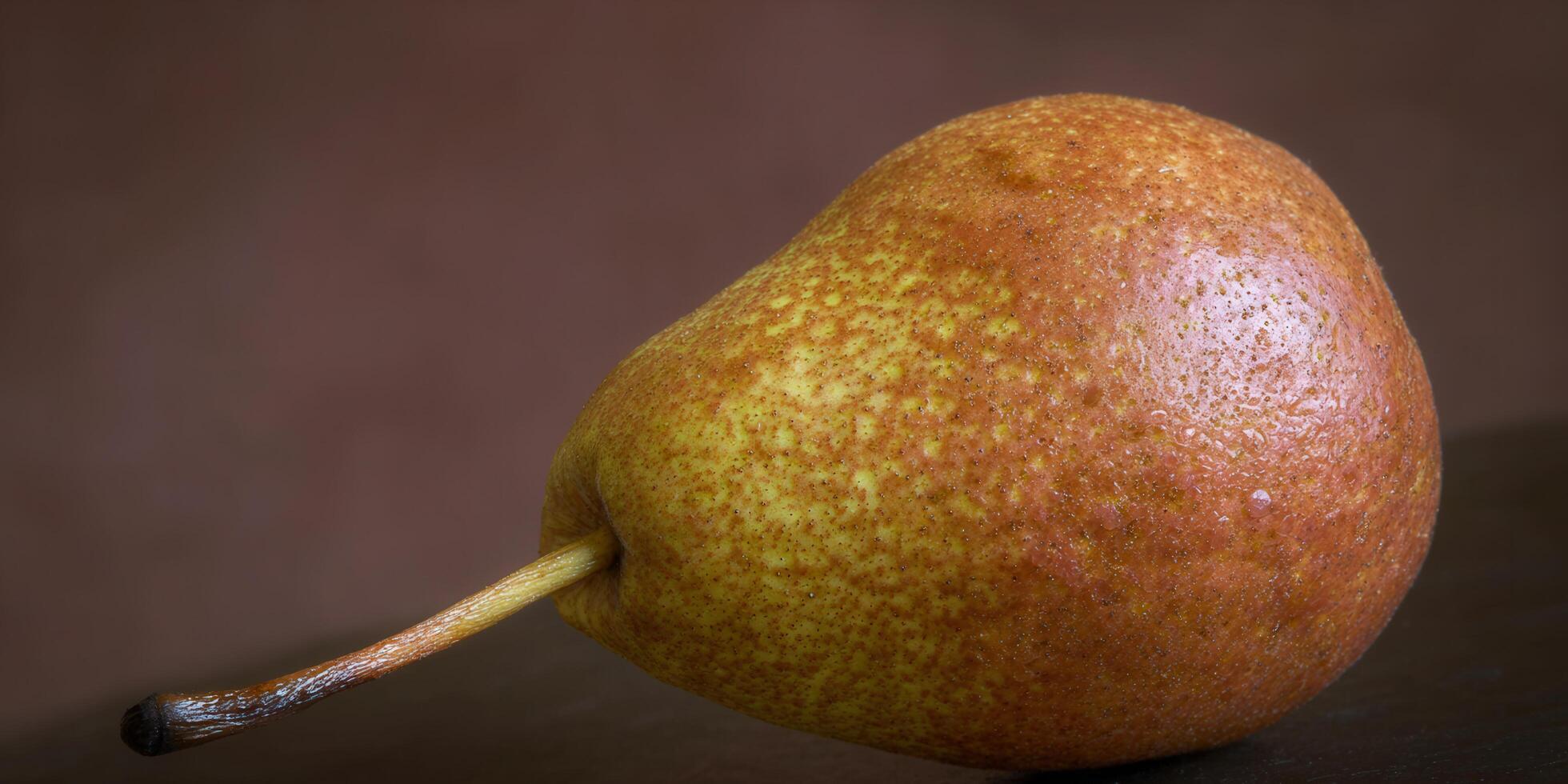 A close-up view of a ripe, textured pear with its stem, ready to eat. photo