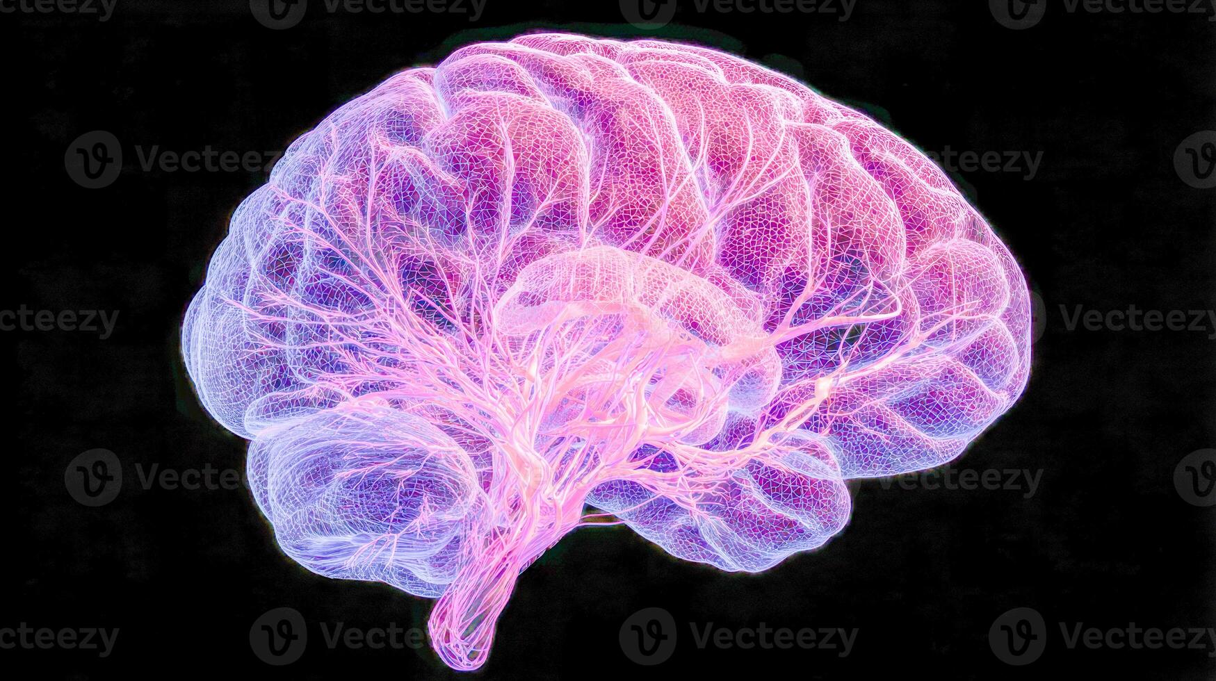 Detailed 3d digital visualization of human brain neural network highlighting intricate pathways and structures with glowing pink and purple tones on black background photo
