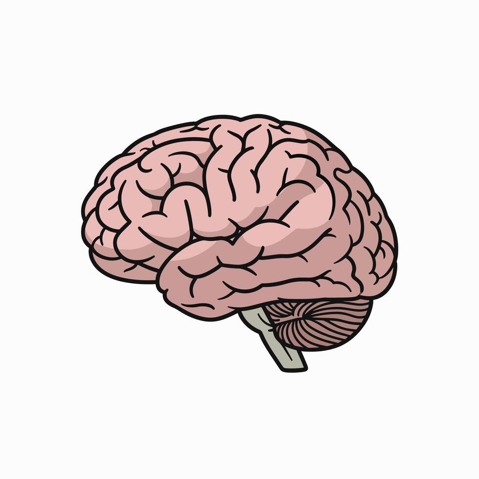 Exploring the Human Brain the Center of Our Thoughts Emotions and Actions Comprehending Its Complexities vector