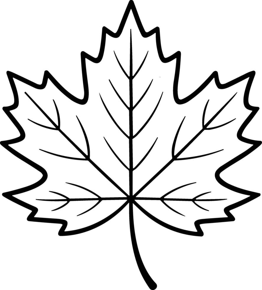 Maple Leaf Outline for Autumn, Nature, and Botanical Design Projects vector