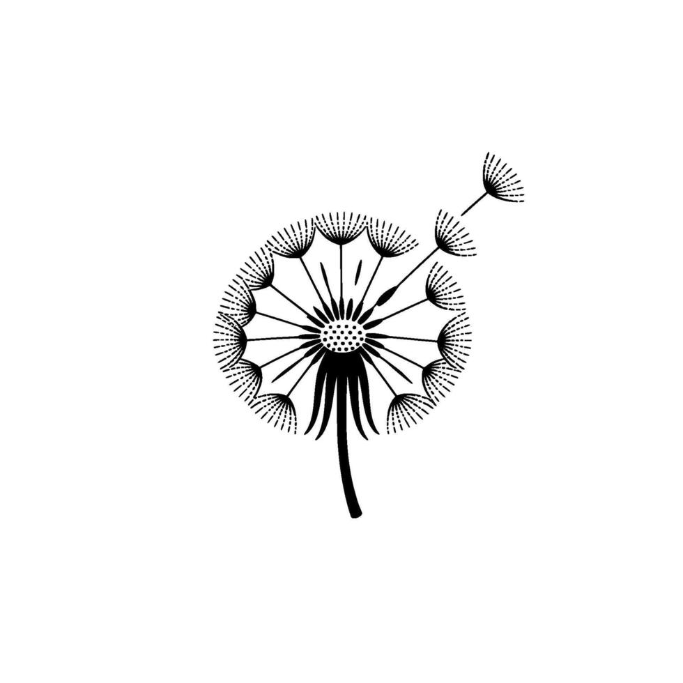 A striking illustration of a dandelion seed head with its delicate seeds dispersing in the breeze against a clean background vector