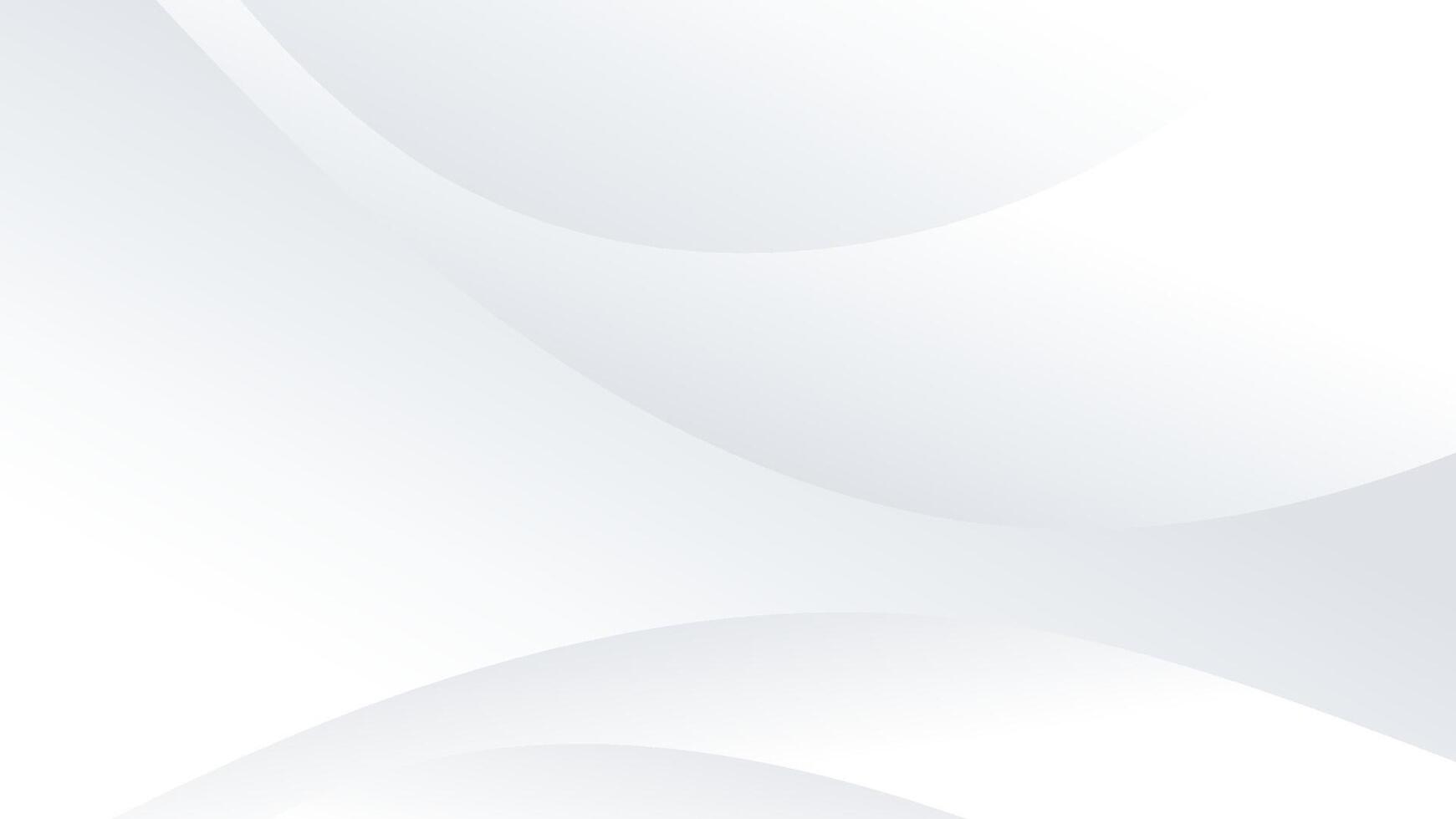 abstract white background white geometric shape and curve line vector