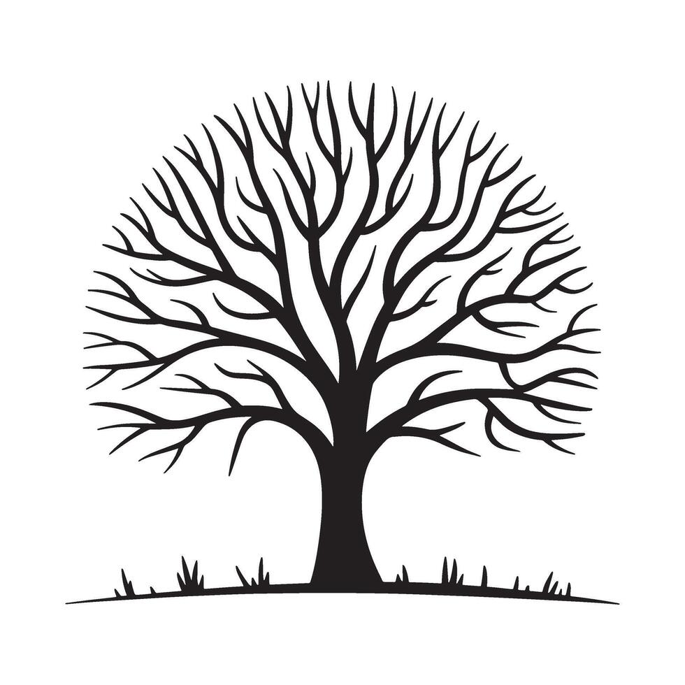 Striking Silhouette of a Bare Tree Displaying Intricate Branch Patterns Against a Clean White Backdrop Symbolic of Winter vector