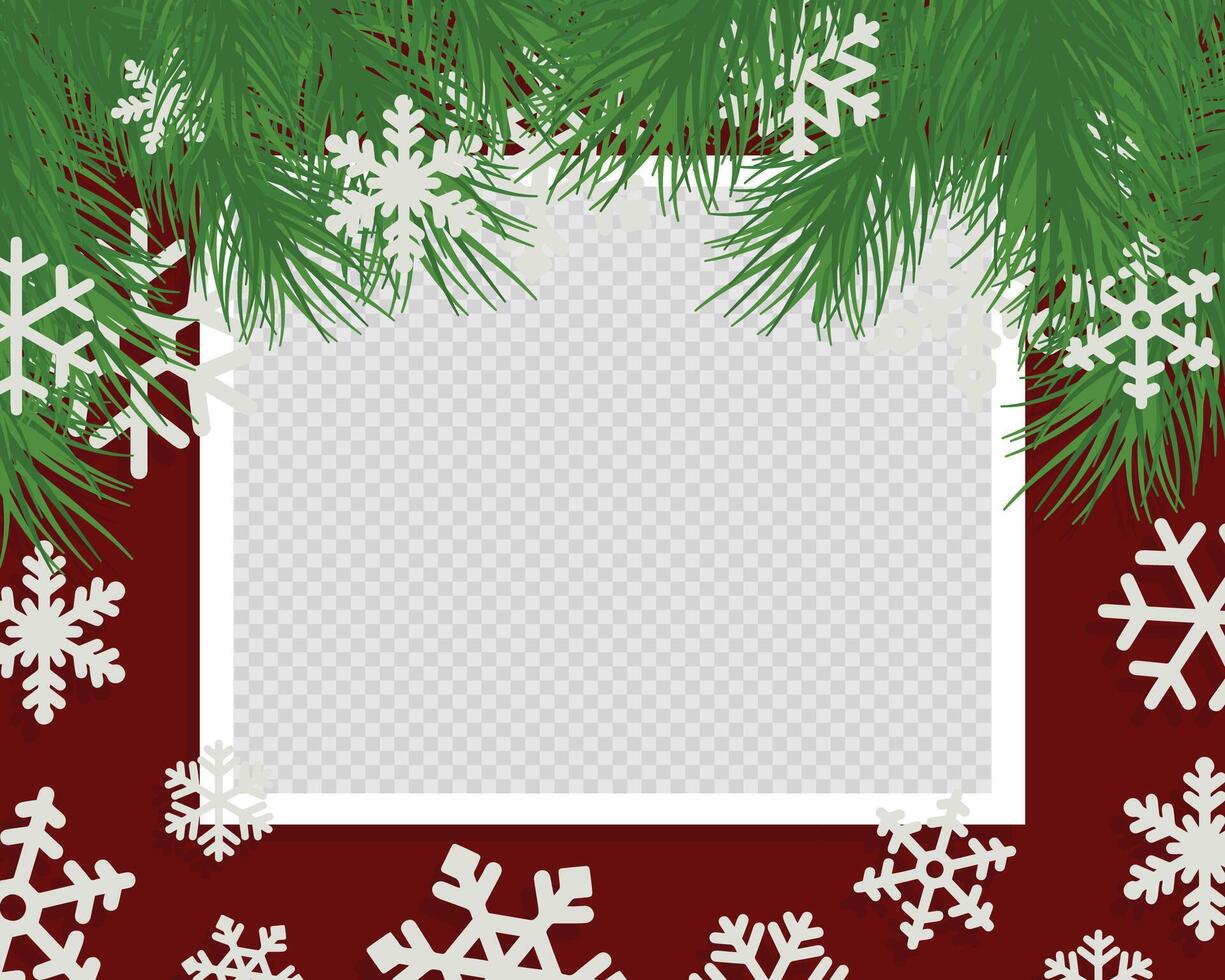 Christmas photo frame with fir tree branches and snowflakes Winter polaroid frame vector