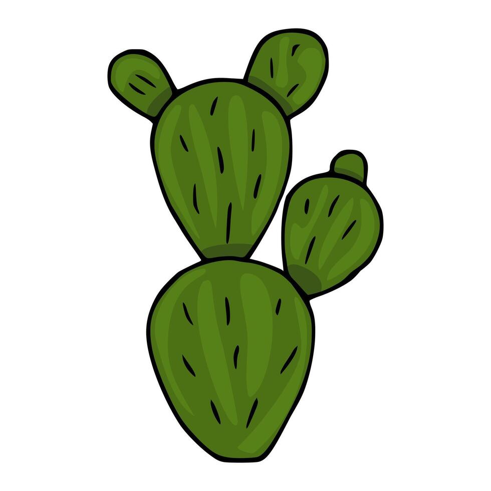 A charming illustration of a prickly pear cactus, showcasing its unique paddle shaped pads and vibrant green hue, ideal for adding a touch of desert flair to your designs. vector