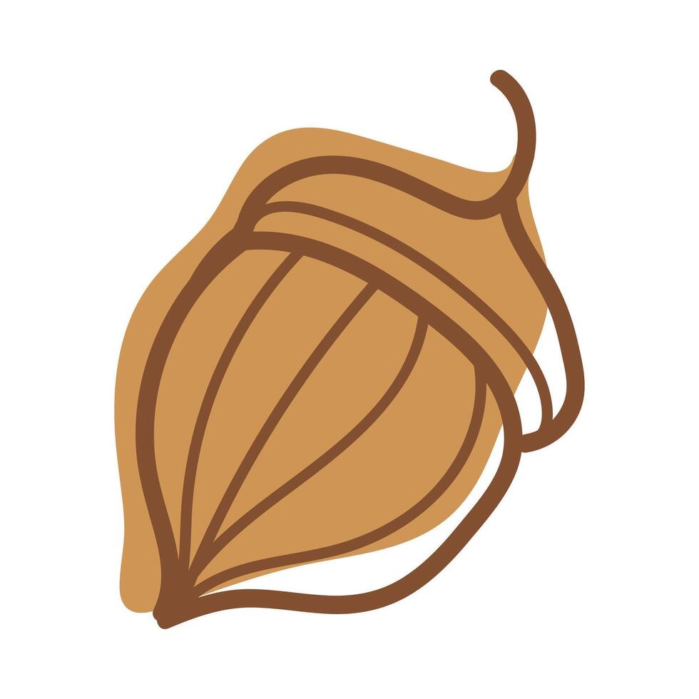 Acorn or Oaknut in Shell as Autumn and Fall Symbol Illustration vector