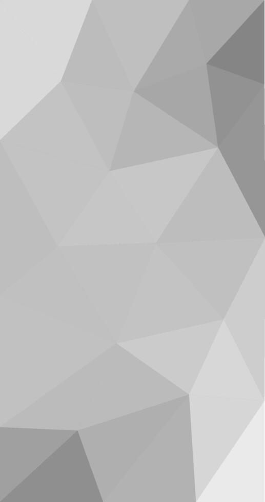 Gray abstract Low polygon background Geometric origami style with Mono tone vector