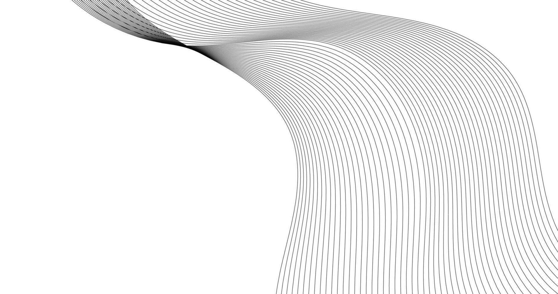 Abstract Black wave on white background Copy Space Template for design vector