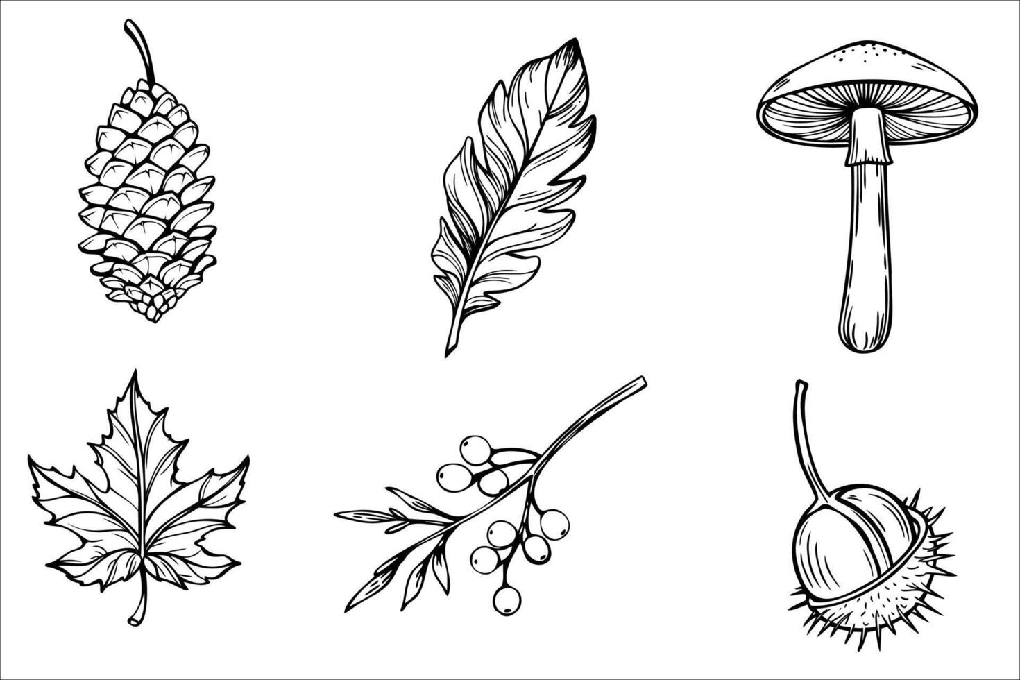 A collection of hand-drawn botanical illustrations featuring a pine cone, feather, mushroom, maple leaf, berry branch, and acorn. Each element is detailed and distinct. vector
