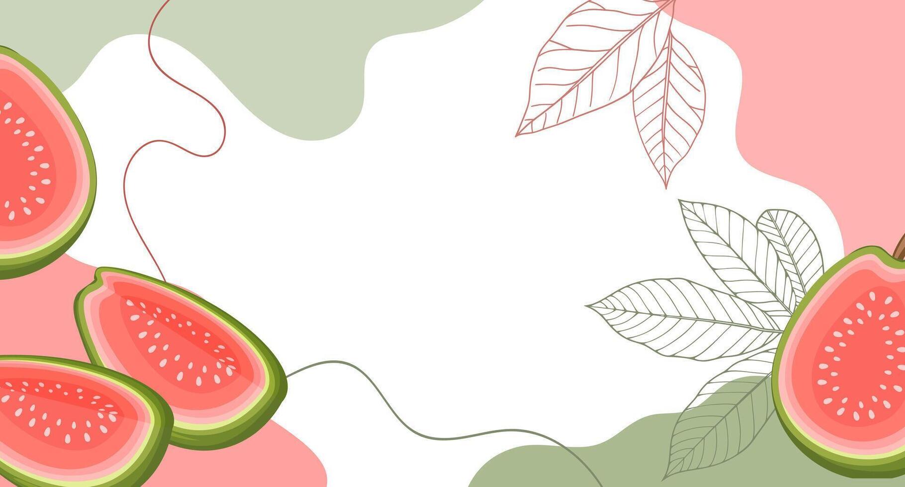 Guava fruits background. A composition of guava fruits with organic shapes and leaves on an abstract background. Card, banner, poster. vector