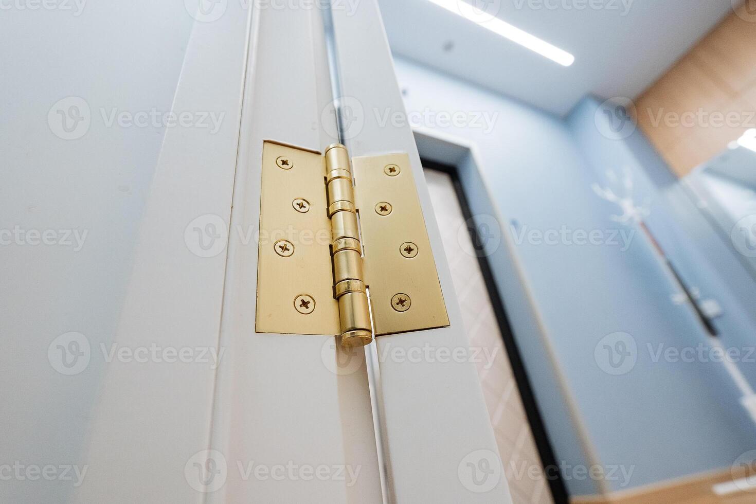 This closeup view shows a decorative gold door hinge on a light door in a modern interior, adding sophistication and style to the space, making it more inviting and visually appealing photo