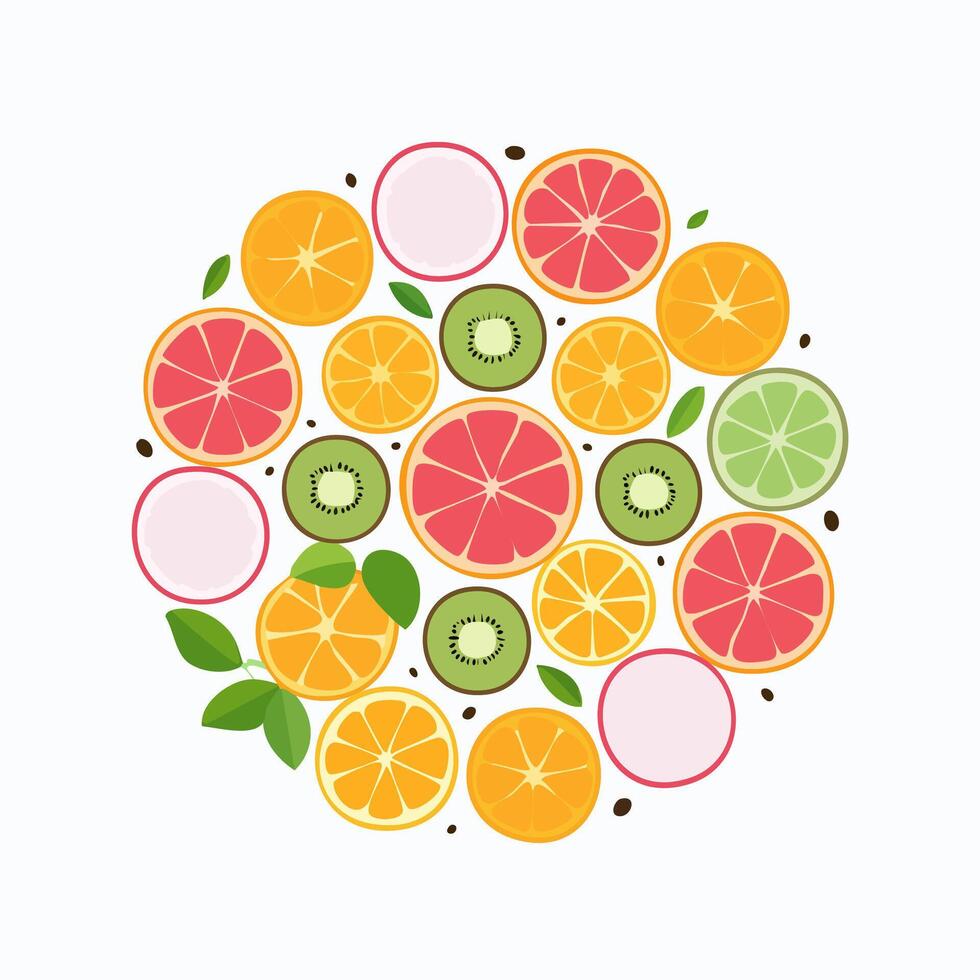Assortment of sliced fruits arranged in a circular composition vector