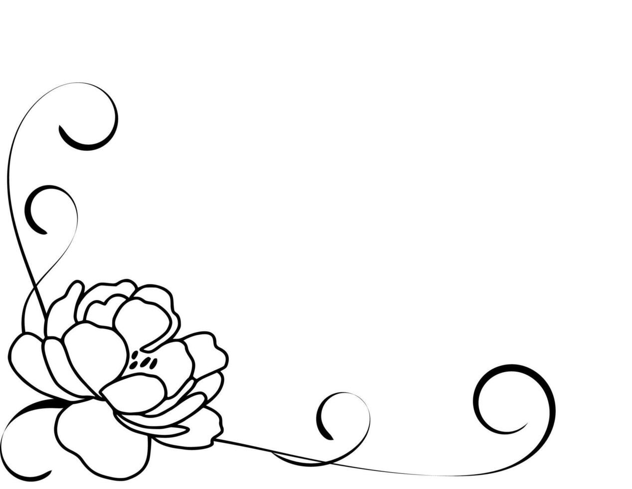 Outline of peony flowers with flourish or scroll lines, ornamental corner border graphics. Suitable for invitations, page decorations, cards, decorations and more vector