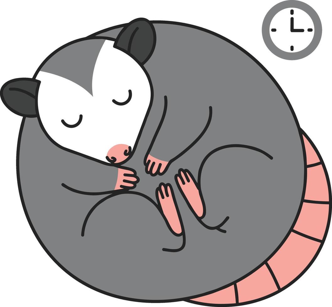 An opossum sleeping in a circle with a clock vector