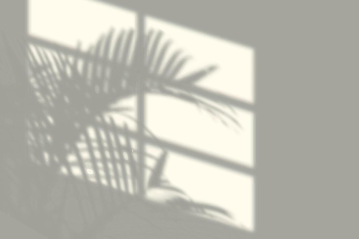 shadow on wall in the room from window with palm vector