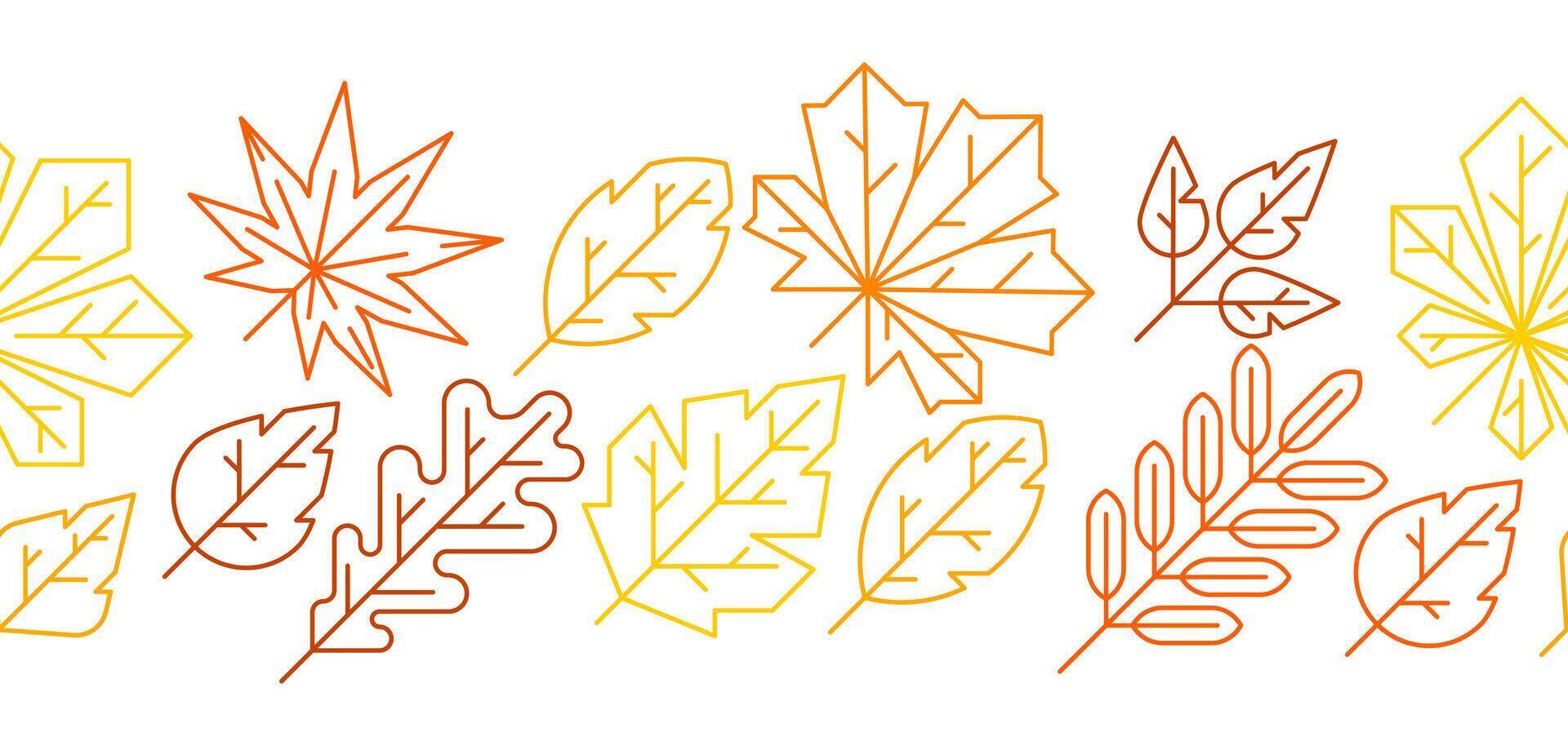 Pattern with line autumn leaves. Background with various foliage. vector