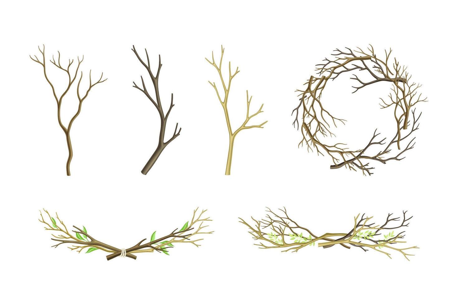 Bare Tree Branch Tied in Semi Circle and Wreath Set vector