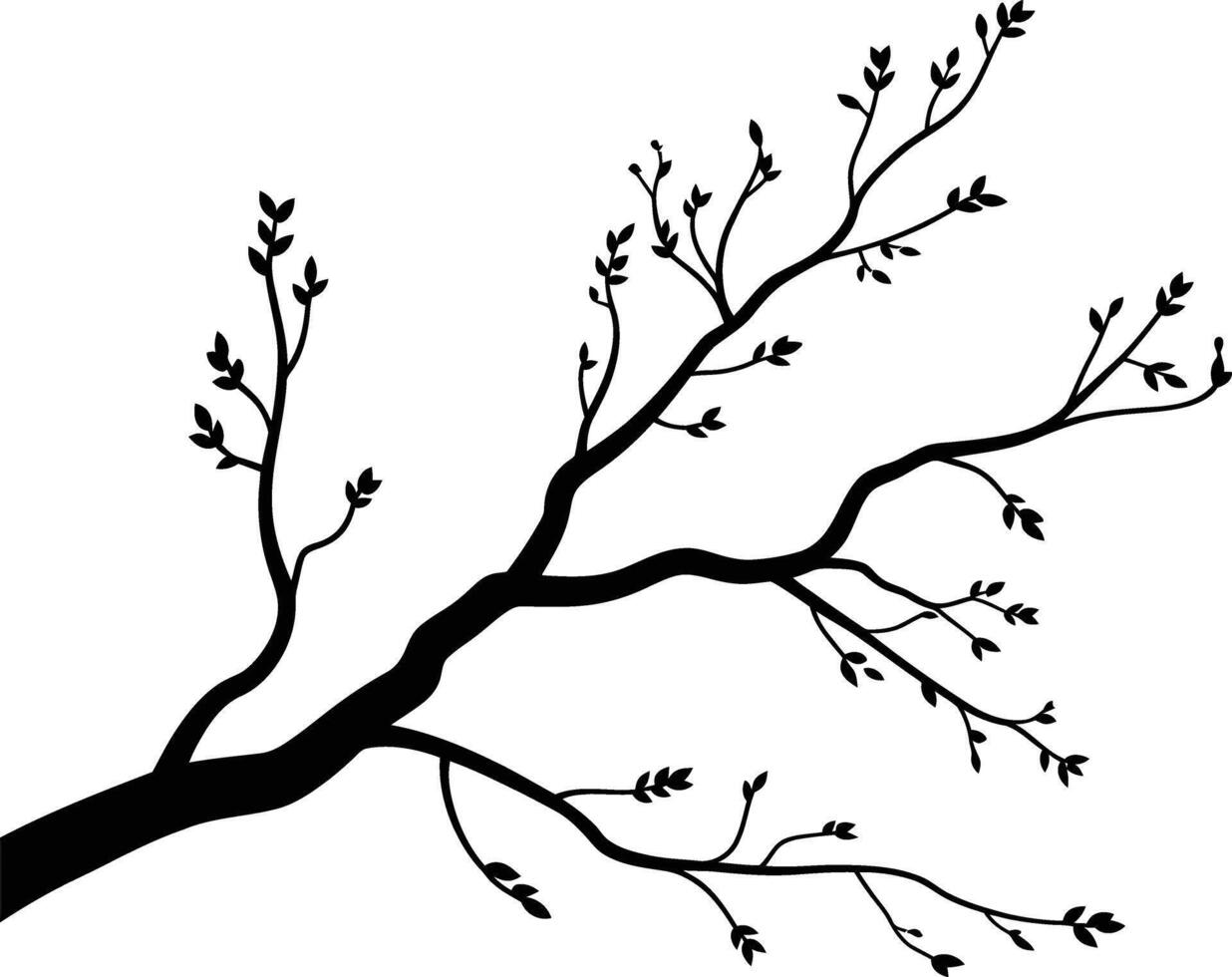 Dark silhouette of a bare tree branch with tiny buds against a white background vector