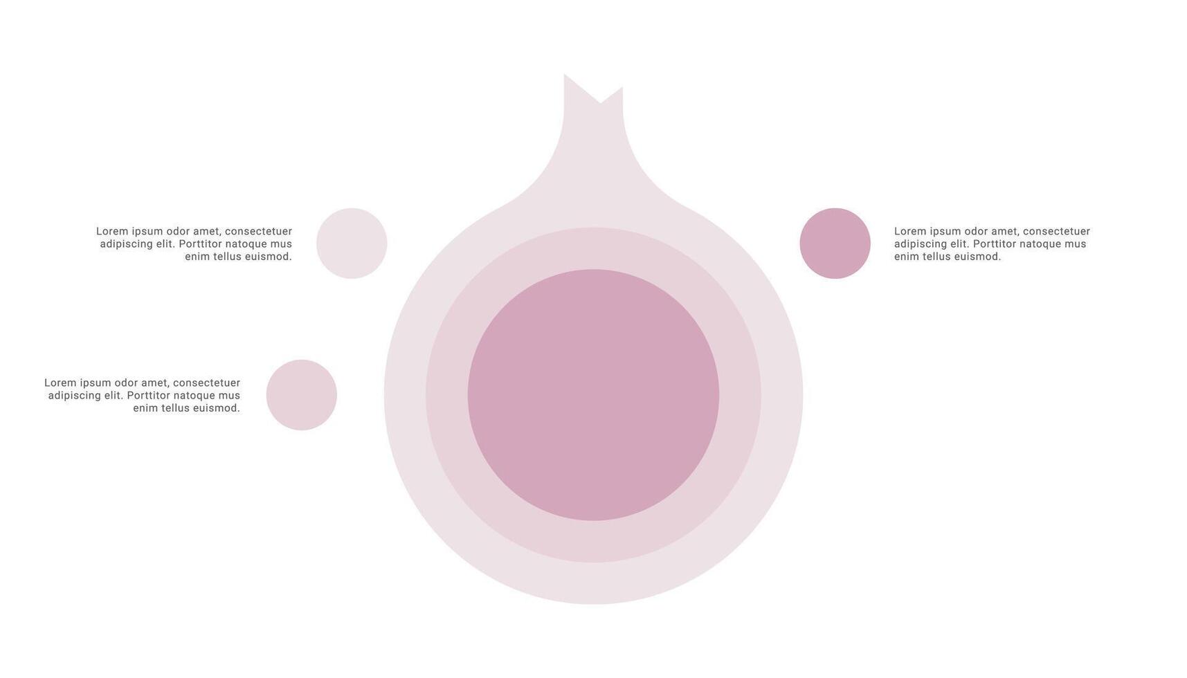 Onion diagram infographic with 3 points or stack vector