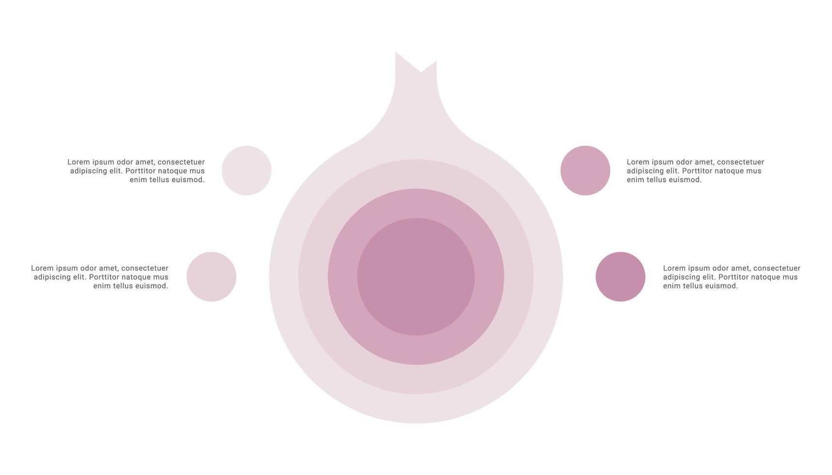 Onion diagram infographic with 4 points or stack vector
