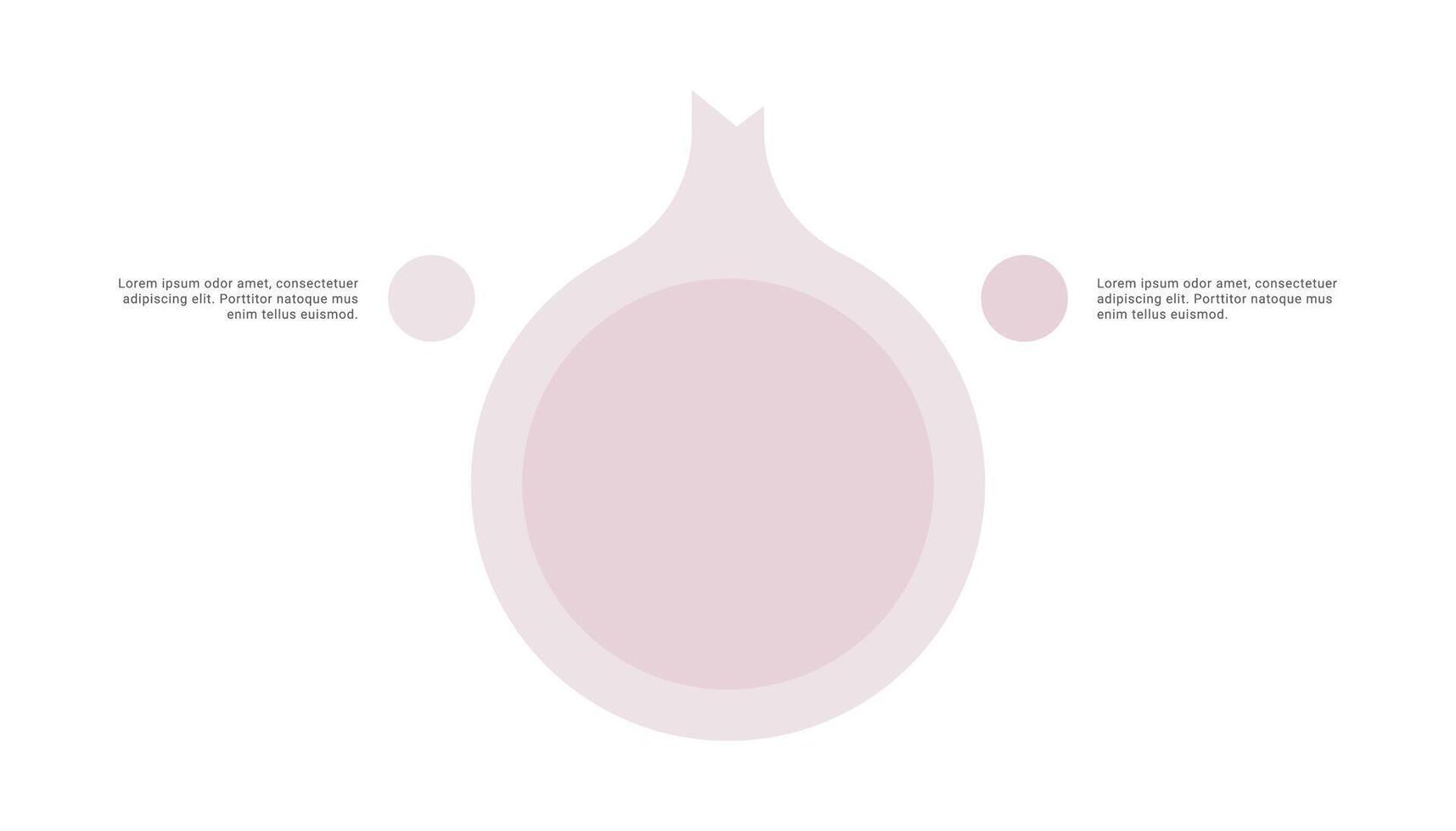Onion diagram infographic with 2 points or stack vector