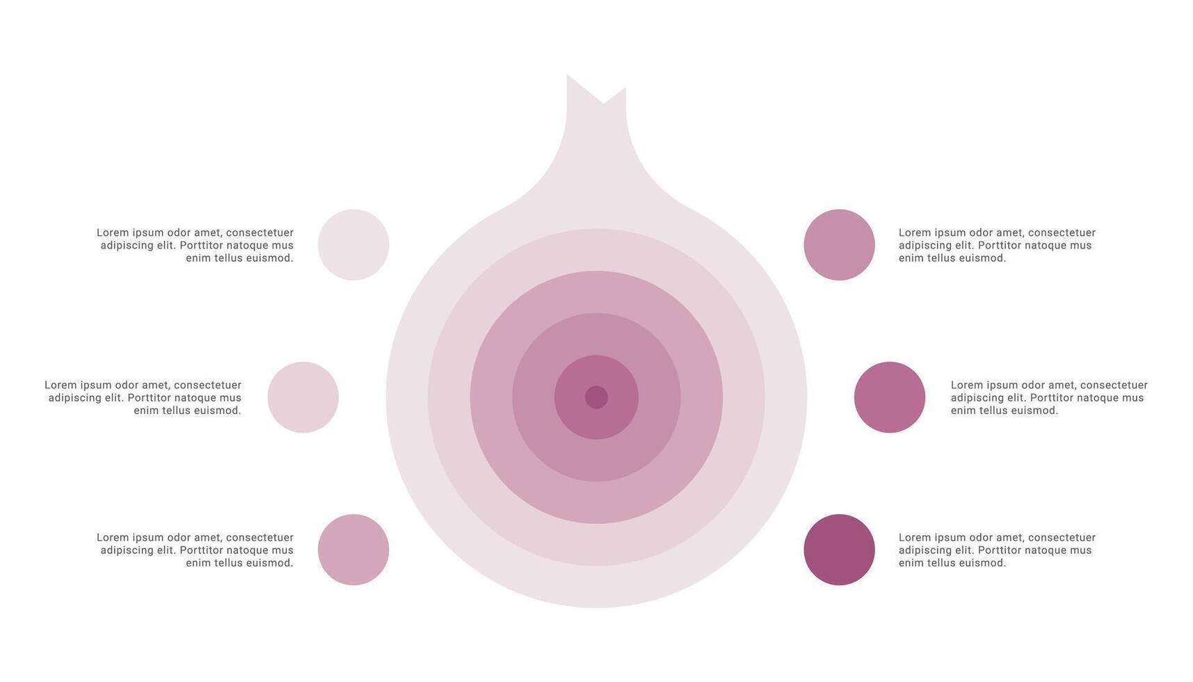 Onion diagram infographic with 6 points or stack vector