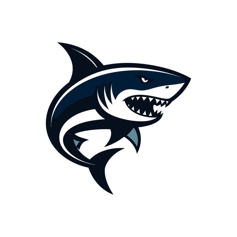 An aggressive shark mascot illustration with bared sharp teeth, rendered in a bold, graphic style on a white background. vector