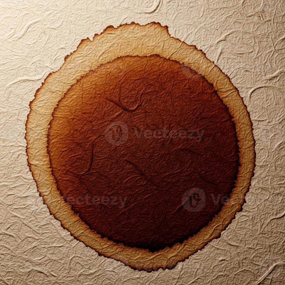 Close up view of a cross section of a tree trunk showing growth rings and textured bark photo