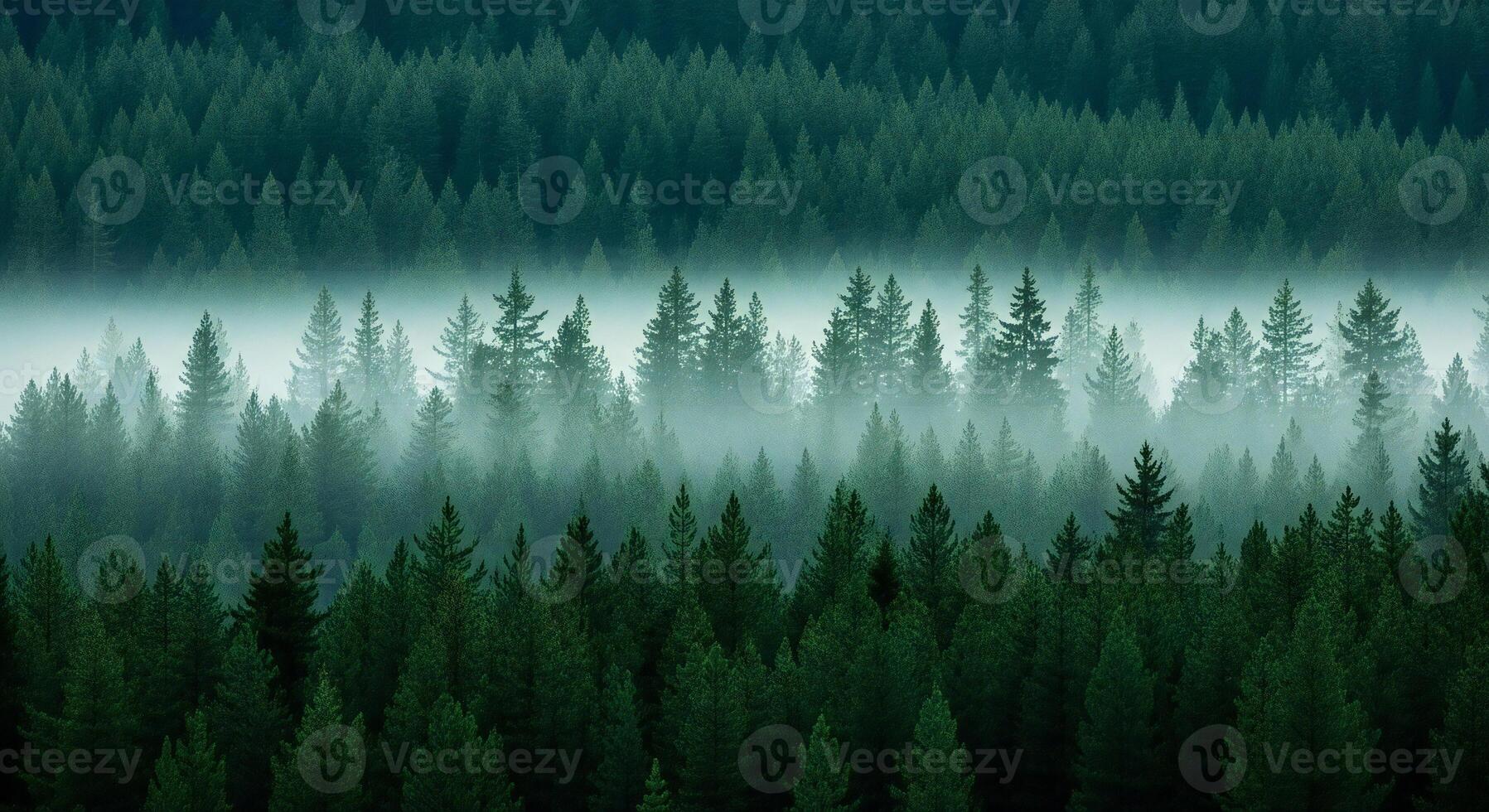 Nature background, Nature wallpaper, Dense evergreen forest with a layer of ethereal mist obscuring distant trees photo