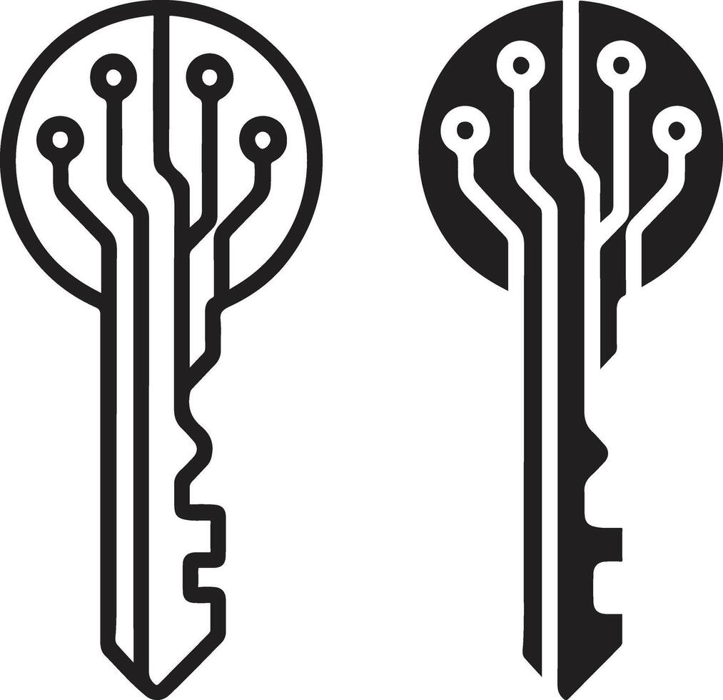 Two keys with circuit boards on them vector