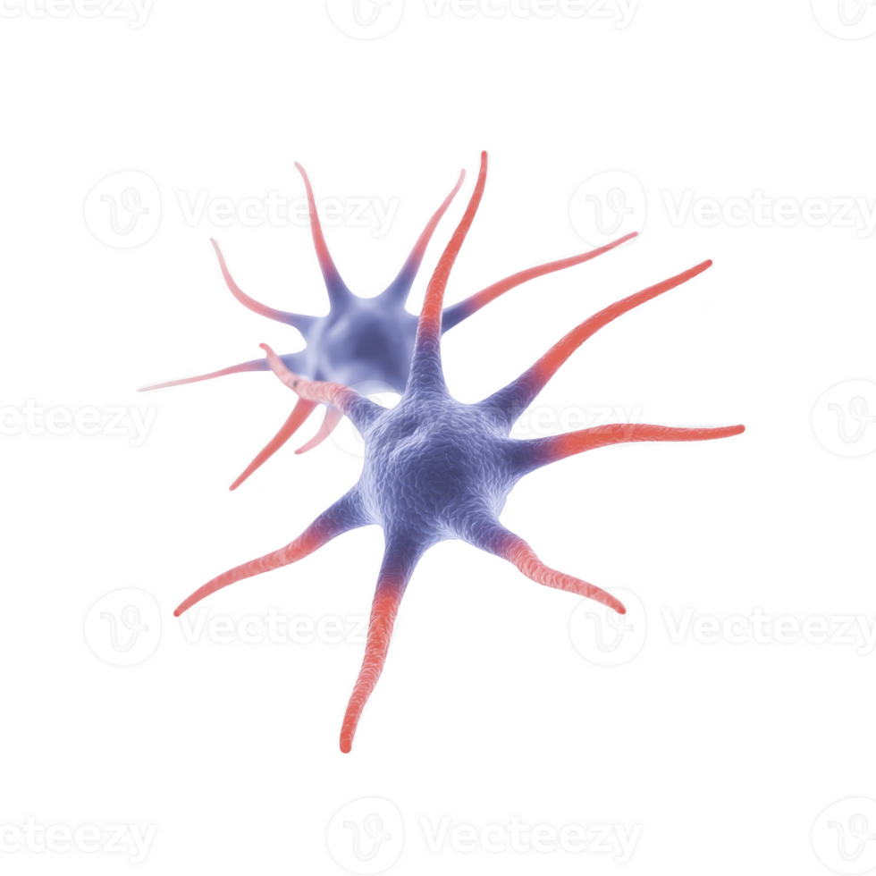 3D illustration of two interconnected neurons with branching dendrites and axons, showcasing complexity of neural networks in brain png