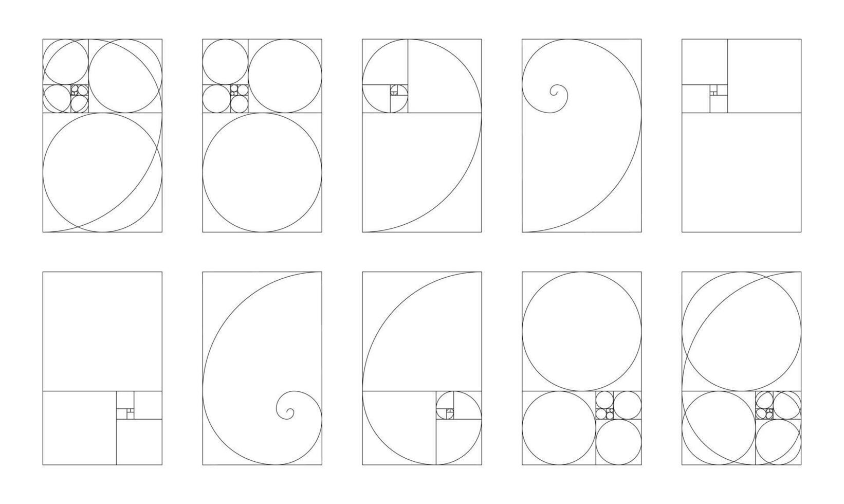 Big fibonacci numbers, array set. Collection of vertical golden ratio harmony proportions. vector