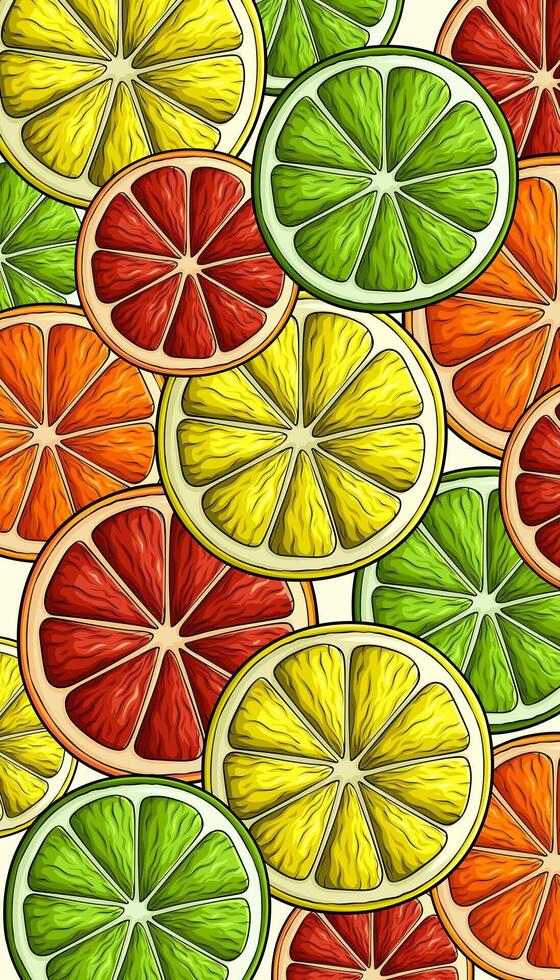 Pattern of colorful citrus fruit slices, orange, lemon, lime, grapefruit, Hand drawn citrus family, citrus collection, citrus assortment vector