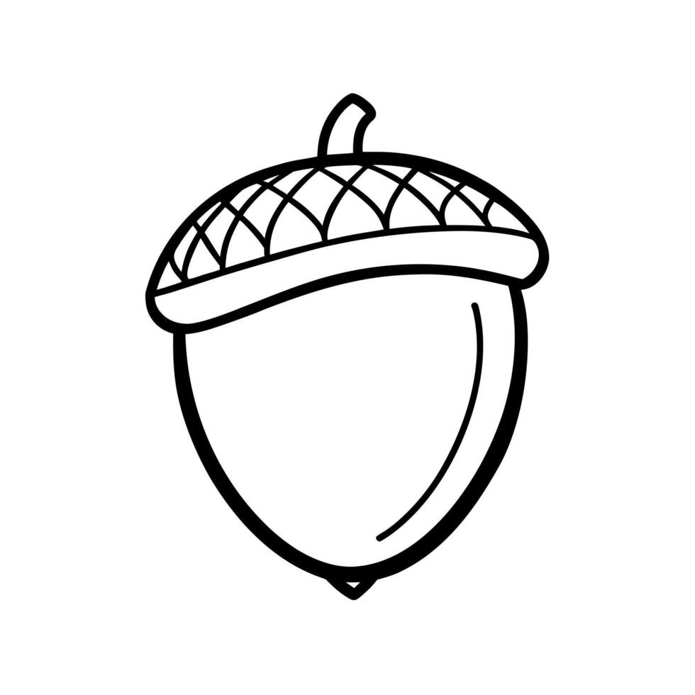 Black and White Outline of an Acorn with a Textured Cap on White Background seed tree vector