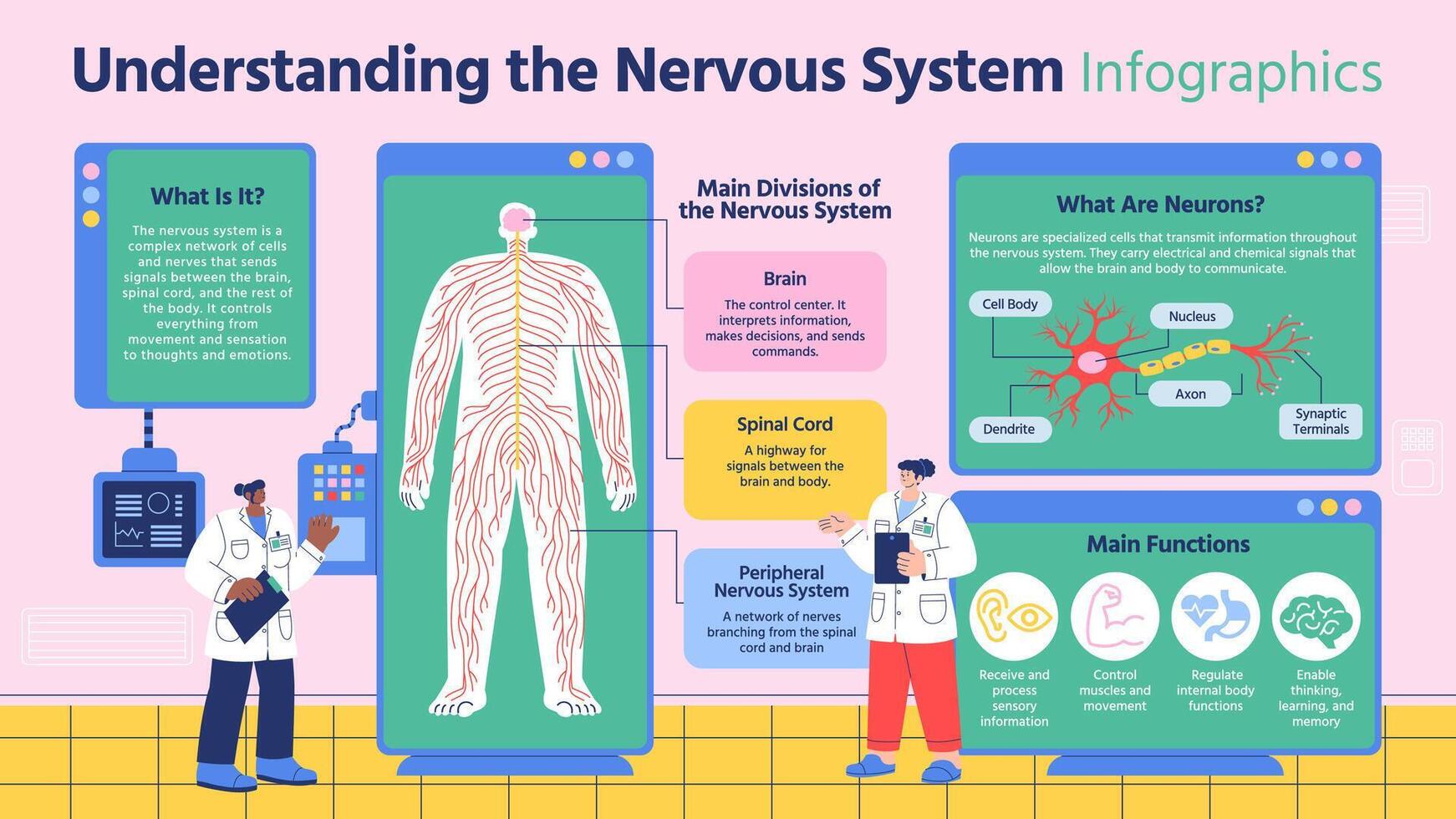 Nervous system infographic illustration vector