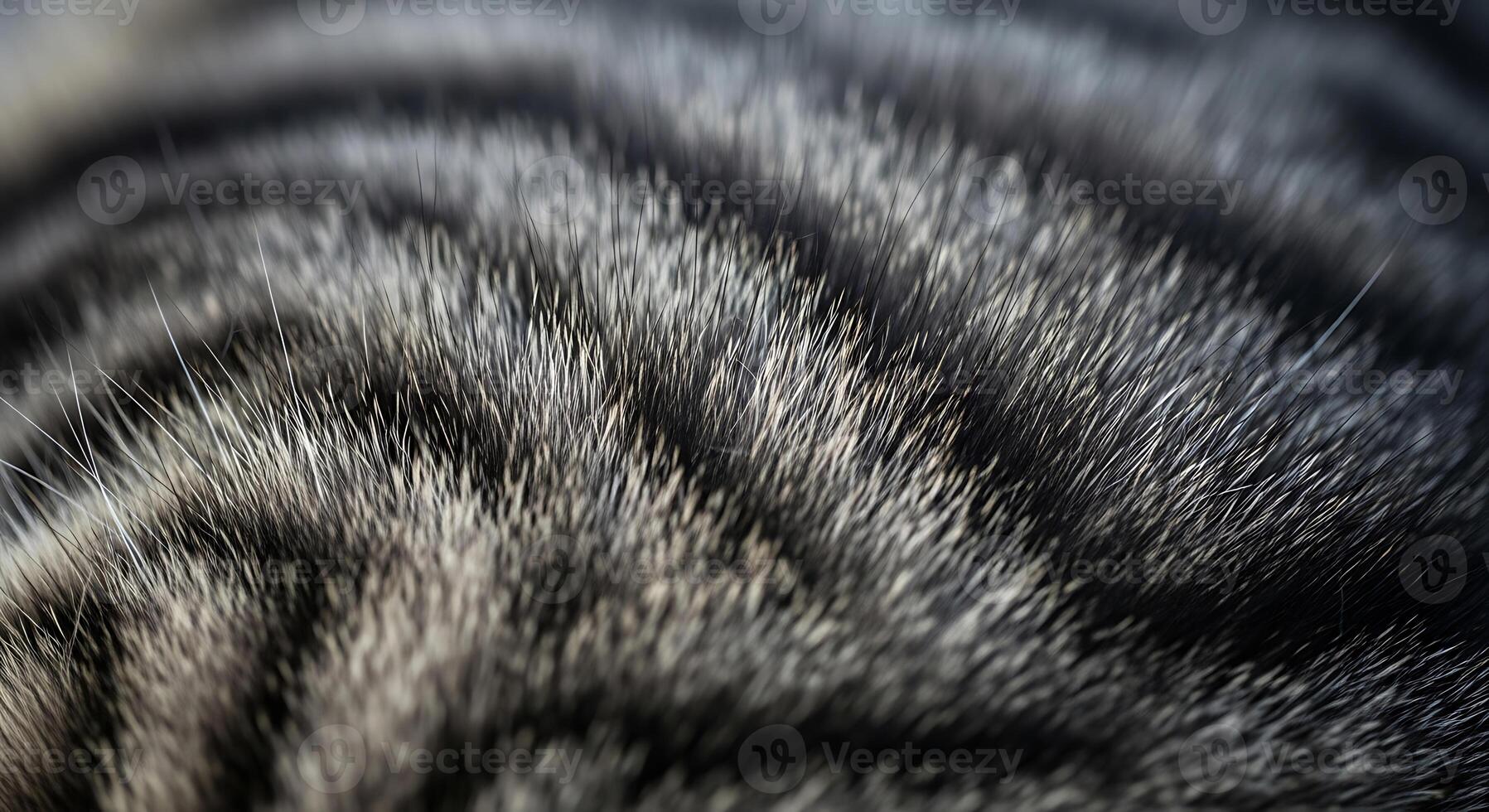 Close up fuzzy gray fur texture with subtle light and shadow patterns for abstract backgrounds photo
