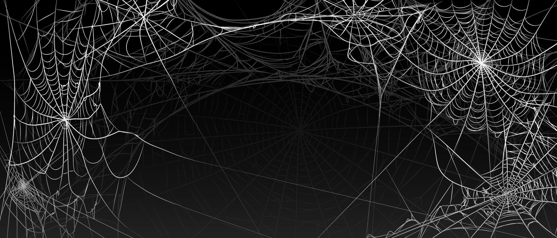 Halloween old spooky cobweb with various sizes and shapes background vector