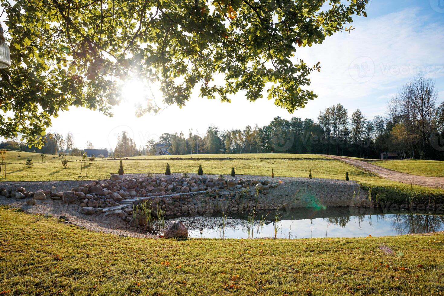 A small pond bordered by rocks, surrounded by grass and trees. A dirt path curves in the distance, with sunlight filtering through a large tree. photo