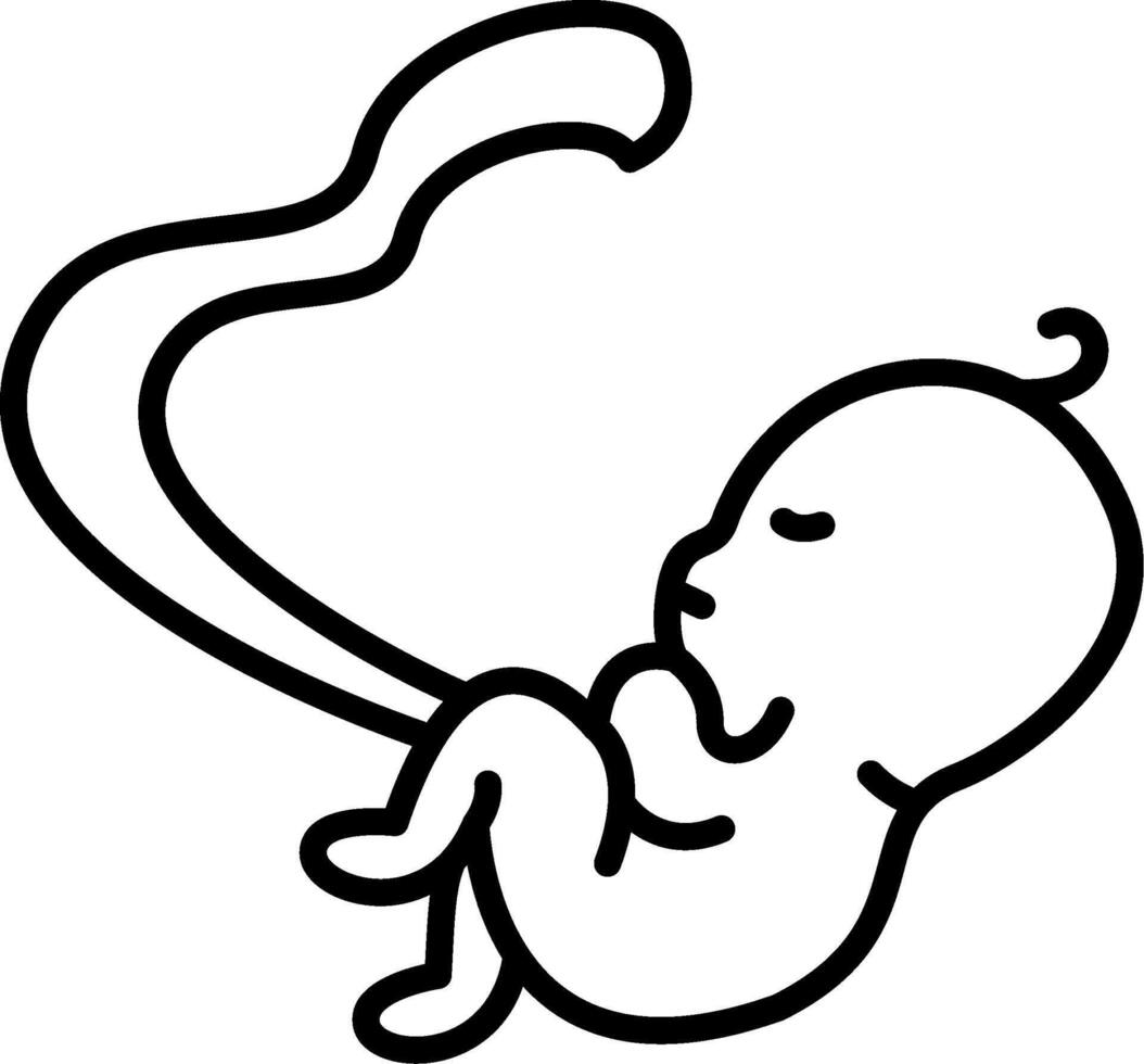 Fetus Balanced Visual Element Layout Balanced Visual Element Layout vector
