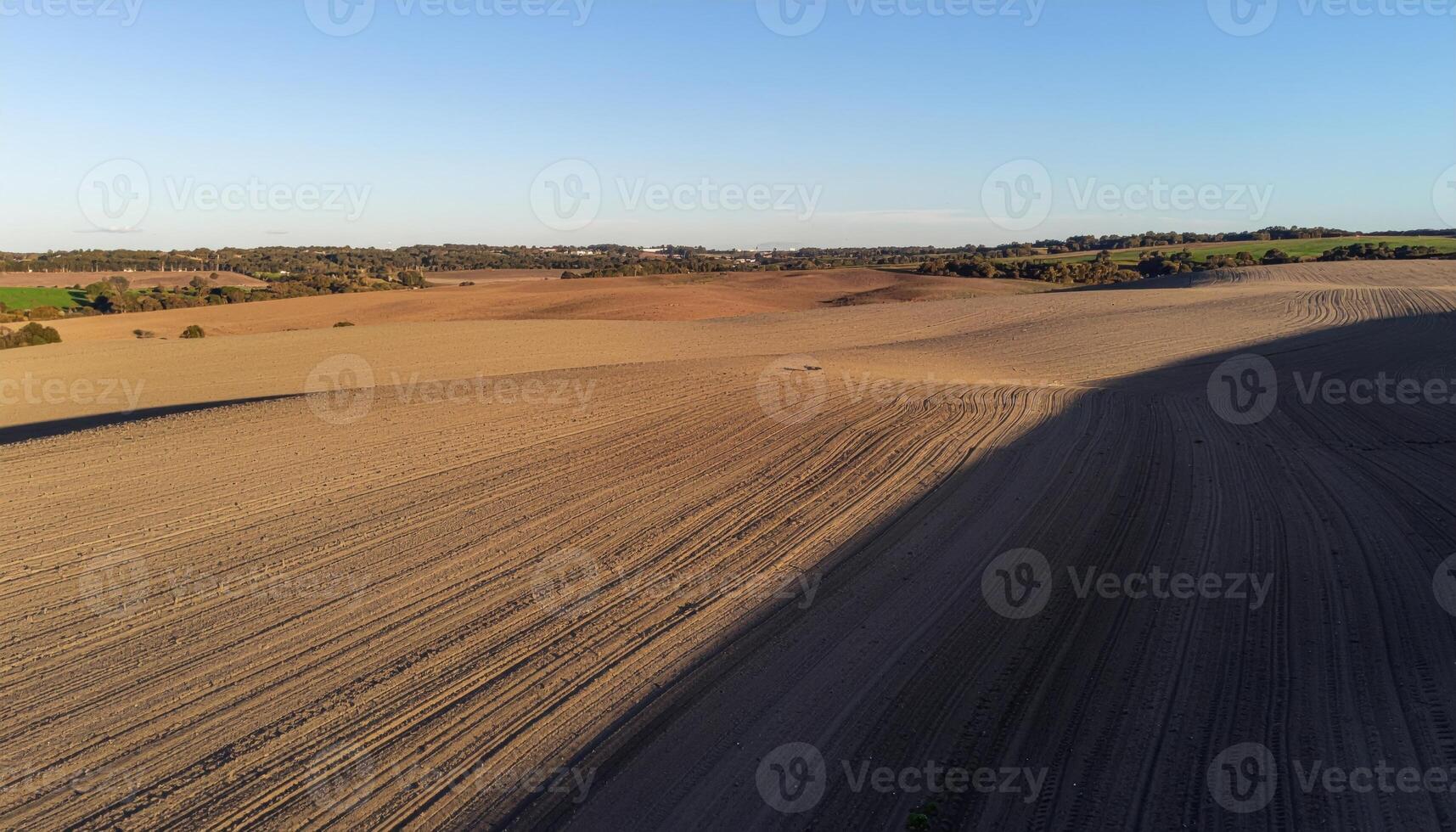 Contour plowed hills in soft side light aerial style with rhythmic lines and open sky copy space for a clean landscape background photo