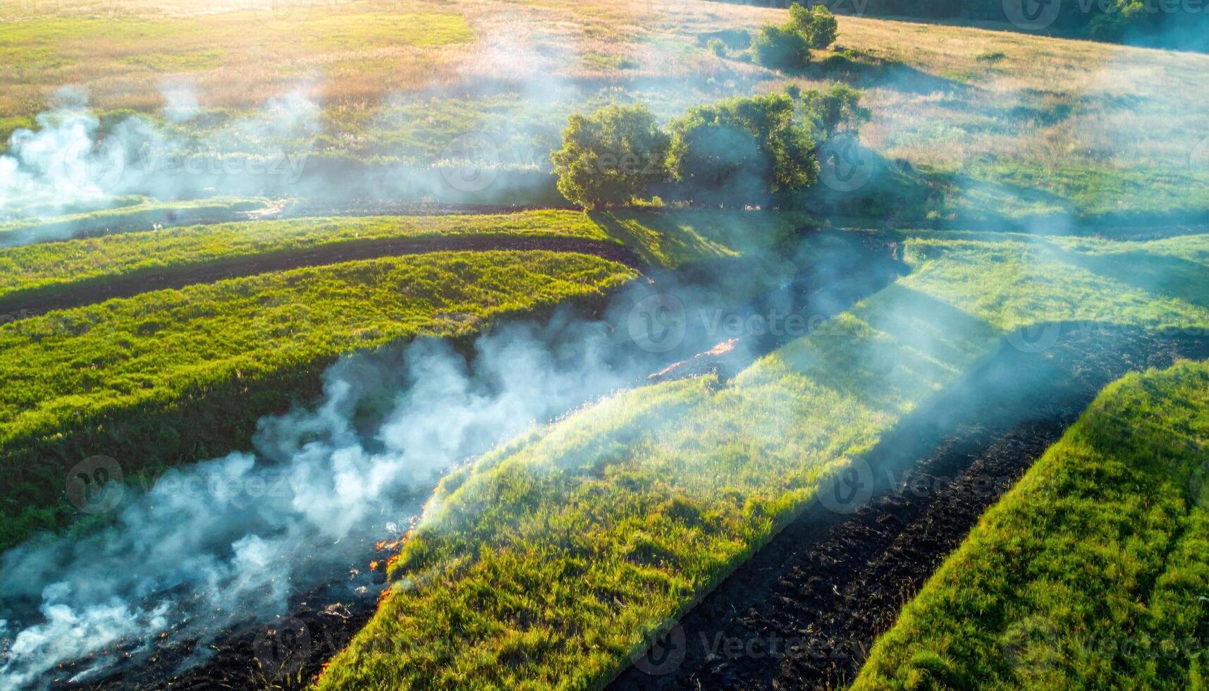 Cinematic field photo of a meadow after controlled burn, thin smoke blueing the distance and char patterns forming abstract geometry.