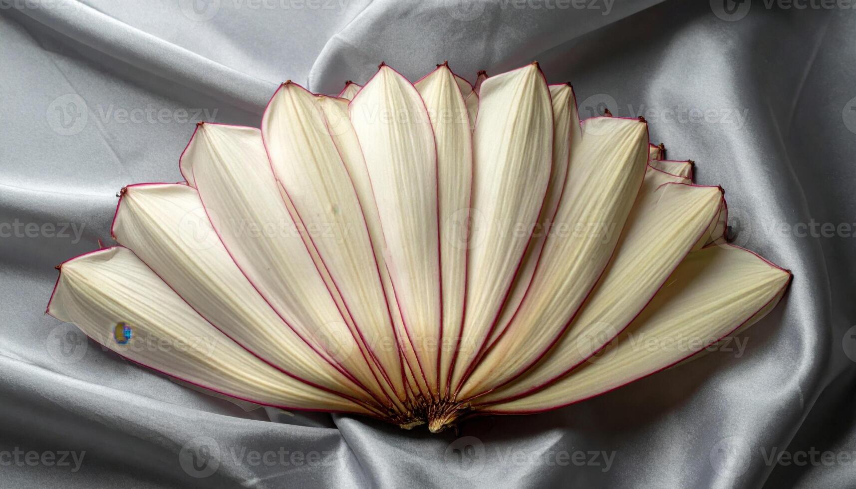 Banana blossom bracts layered into a fan on pewter linen with subtle magenta edge lines refined botanical still life for editorial food design and menu backgrounds photo