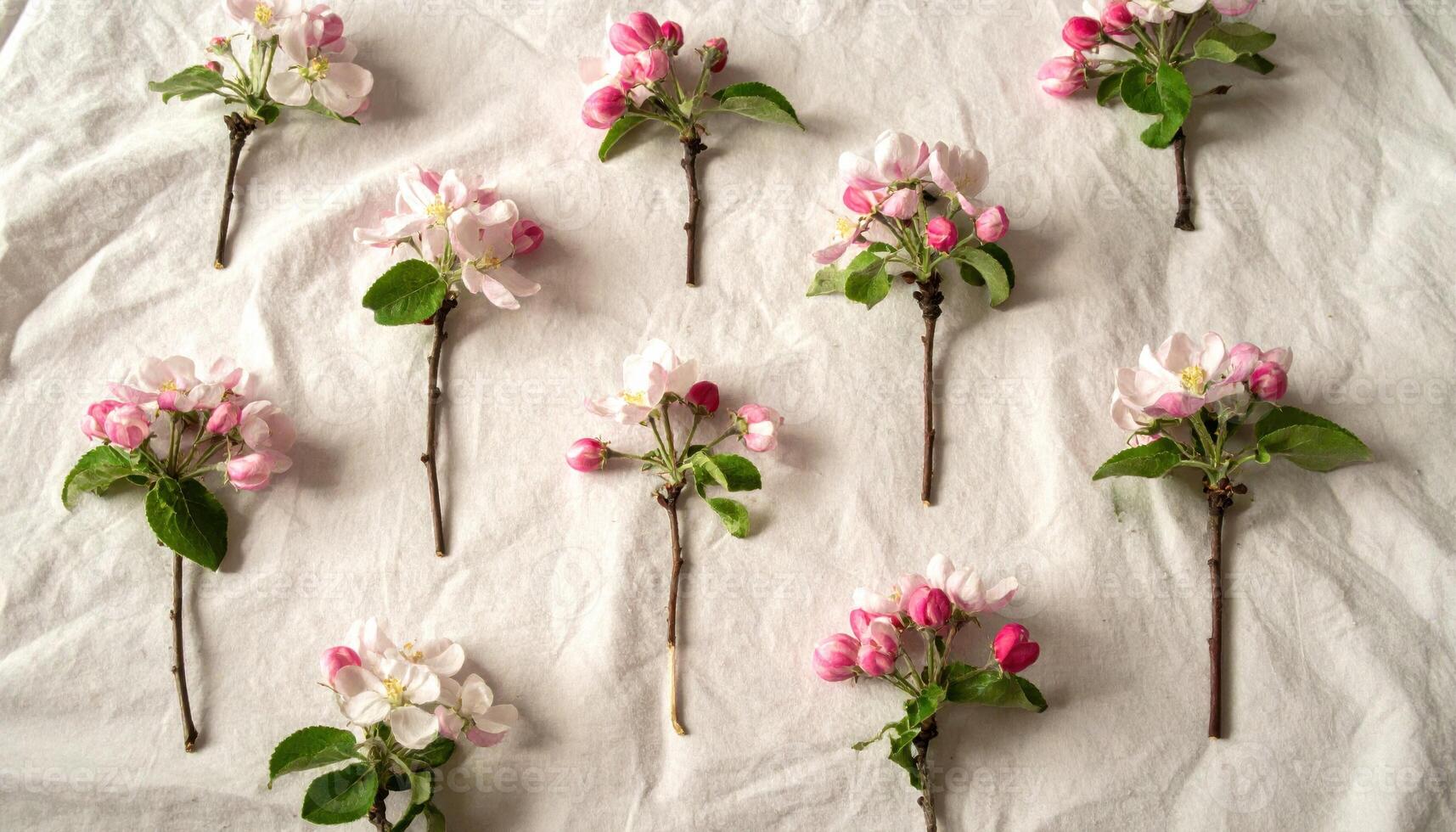Crabapple sprays arrayed like punctuation marks on linen with airy spacing and soft warmth refined orchard still life for editorial design and quiet backgrounds photo