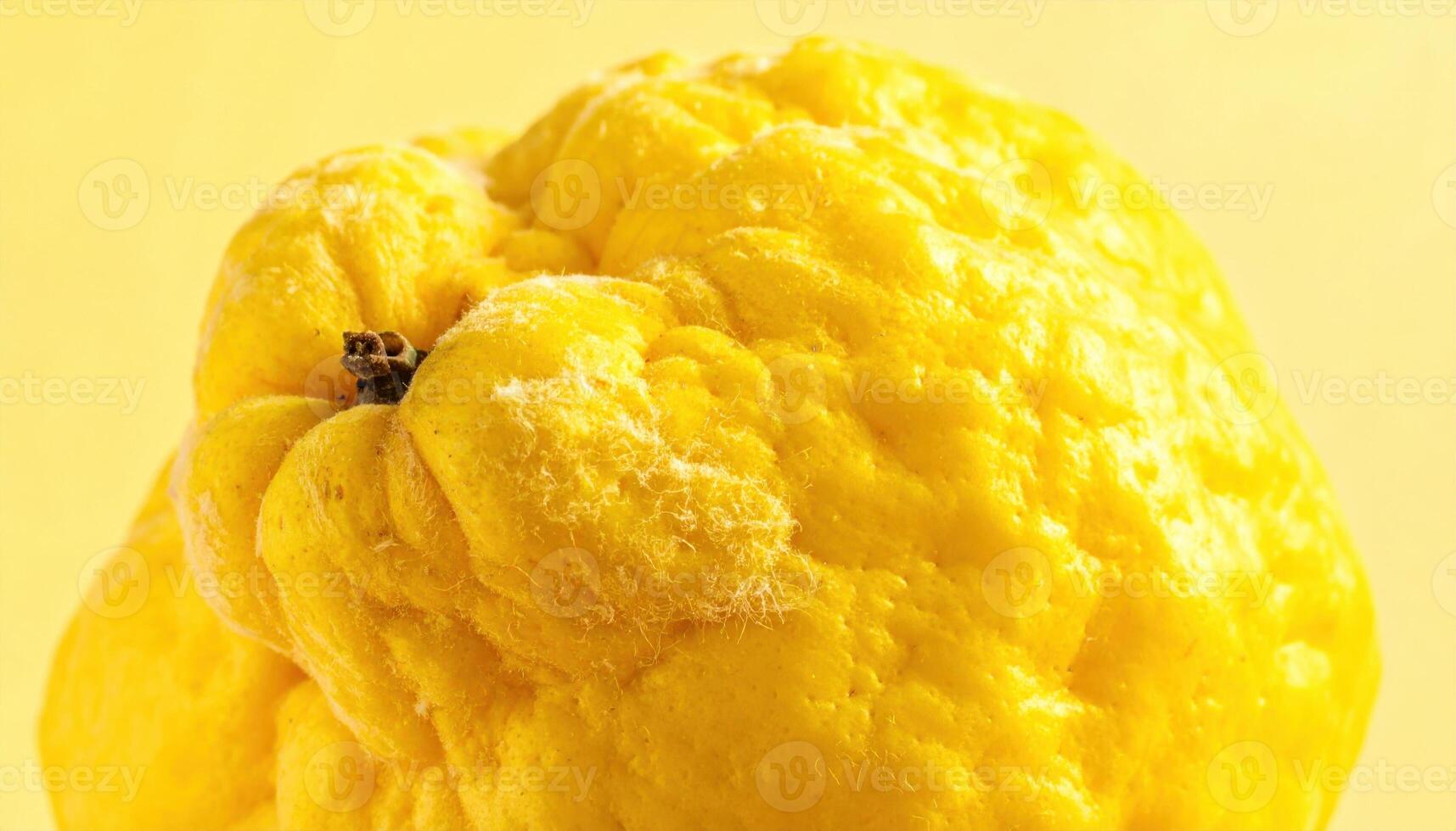 Quince fuzz macro on pale lemon ground with soft side glow creating tactile depth refined produce texture for editorial food science and modern design photo