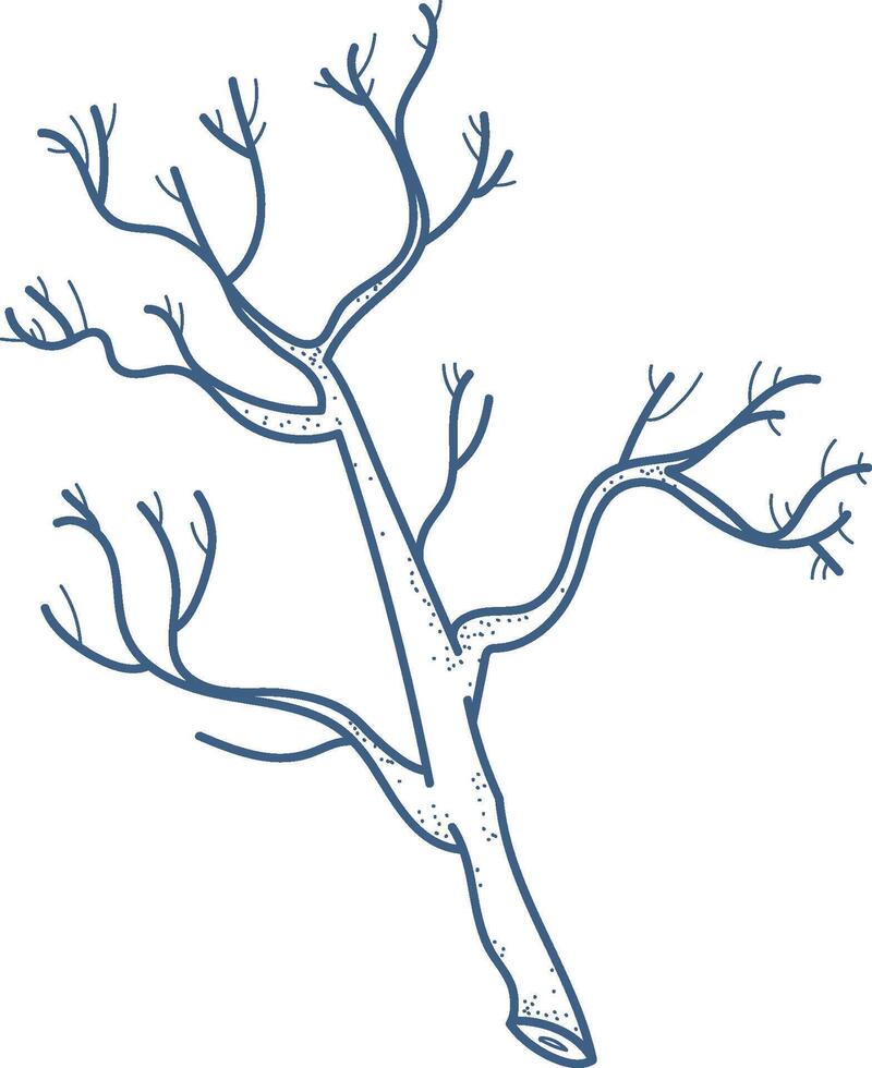 Tree Branch Sketch vector