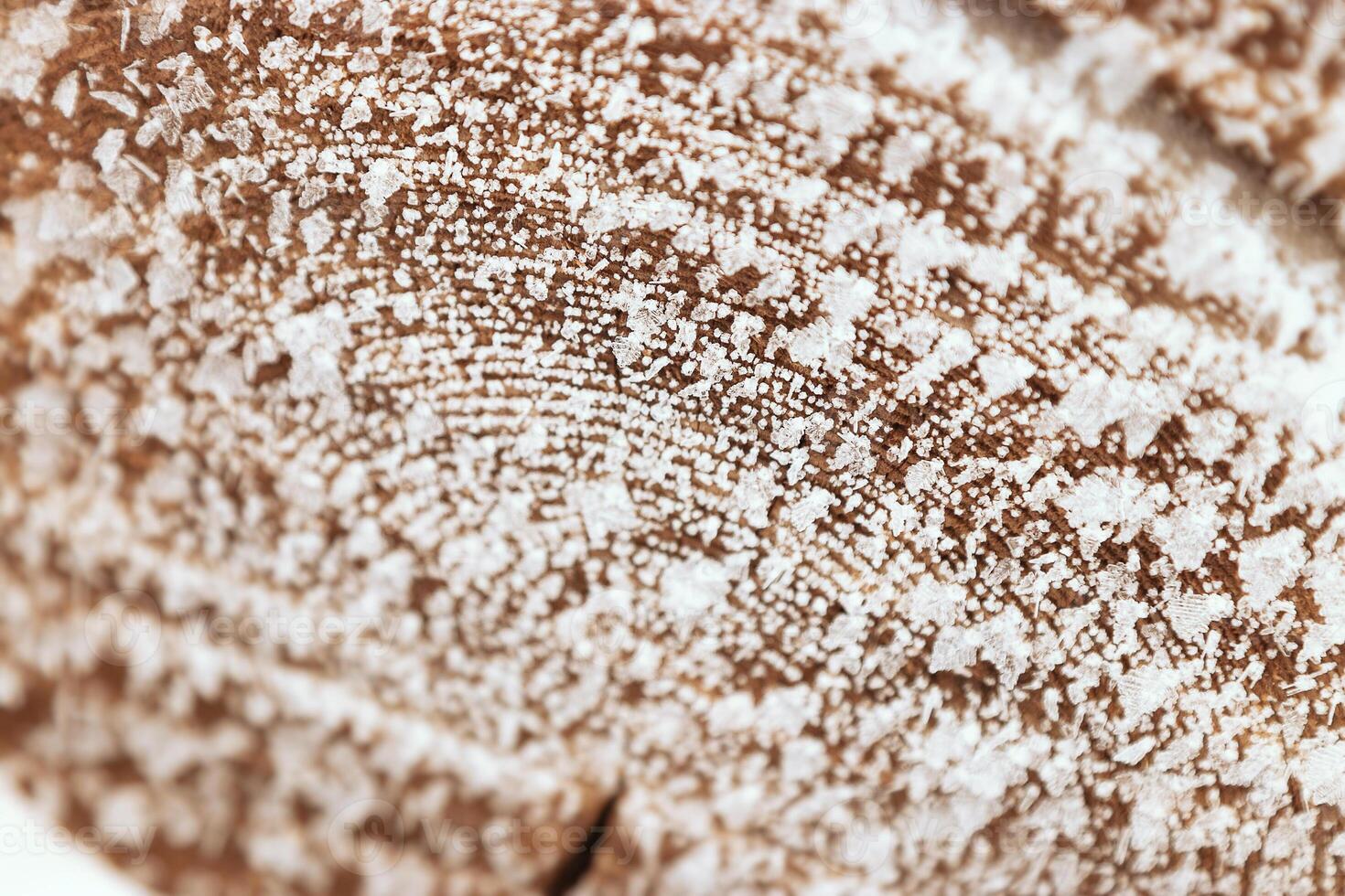 Closeup macro of frost crystals on textured wooden tree surface in winter cold. Pattern of snowflakes on slice of wood as environment background. Concept of nature, season, natural decorative patterns photo