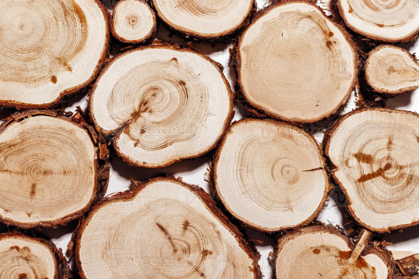 Natural background wth Wooden tree trunk slices, close up woods with texture annual rings. Top view of cross section of juniper log, nature organic pattern. Sawed timber with tree rings photo