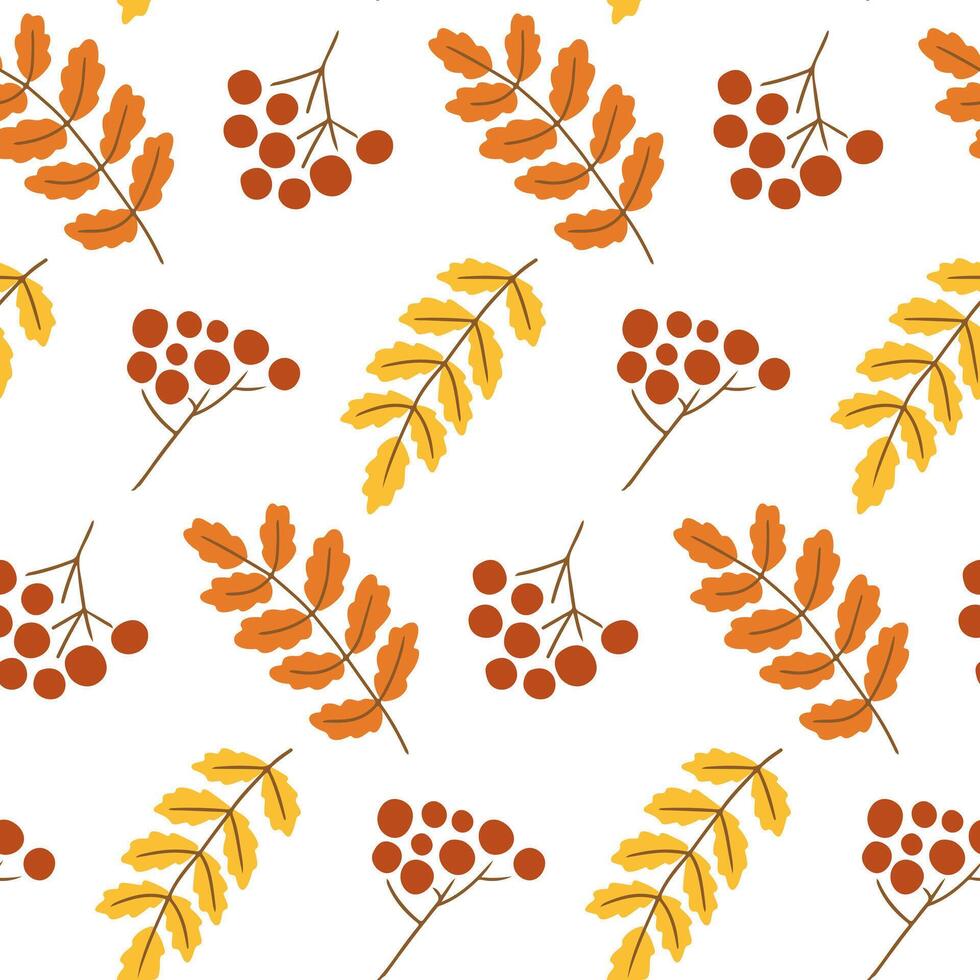 Seamless pattern of hand drawn rowan branches with berries and autumn leaves on white background. Concept of fall nature, forest harvest, seasonal texture and organic design vector
